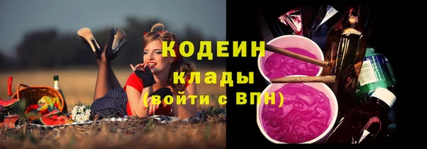 шишки Балахна