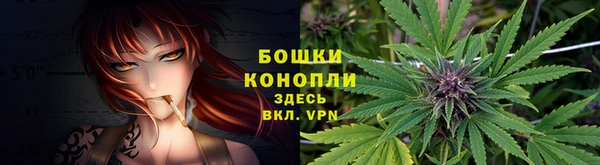шишки Балахна
