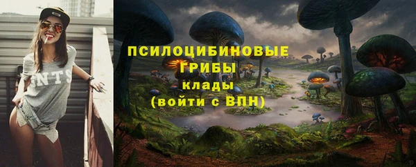 ECSTASY Балабаново