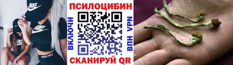 Псилоцибиновые грибы Psilocybe  купить наркотики сайты  shop Telegram  Верхнеуральск 