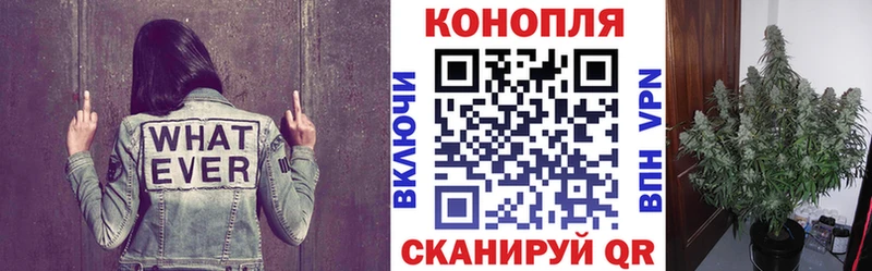 kraken ONION  купить наркотик  Верхнеуральск  Шишки марихуана индика 